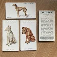 1931 player dogs for sale  HARROGATE