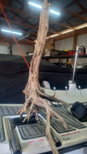 Small driftwood tree for sale  Sunbury