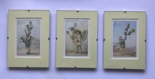 Set three flower for sale  CHELMSFORD