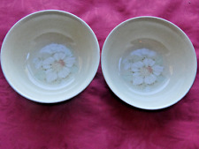 Denby daybreak soup for sale  NEWTOWN