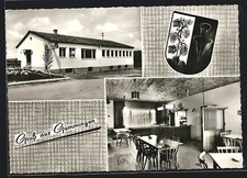 Gemmingen züchterheim kleinti gebraucht kaufen  Berlin