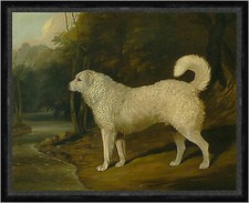 Portrait dog ross gebraucht kaufen  Grabenstätt
