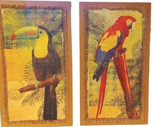 Tropical colors parrot for sale  Ponte Vedra Beach