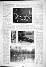 Old print 1905 for sale  UK