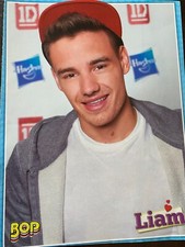 Liam payne one for sale  Turners Falls