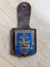Insigne 110 regiment d'occasion  Colmar
