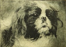 Cedric hodgson pencil for sale  UK