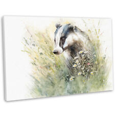 Badger meadow canvas for sale  RYTON