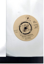 Usado, JOE COCKER YOU ARE SO BEAUTIFUL 1973 7 INCH VINYL SINGLE comprar usado  Enviando para Brazil