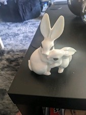 Pair rabbits for sale  PETERBOROUGH