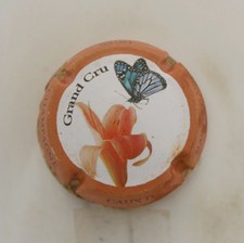 Capsule champagne caux d'occasion  Lamotte-Beuvron