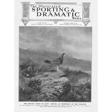 Grouse season impression for sale  GLASGOW
