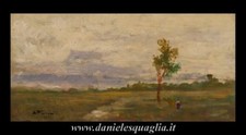 Paesaggio campagna faini usato  Lucca