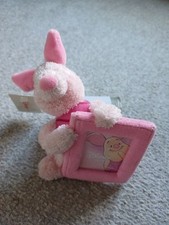 piglet for sale  SHIPLEY