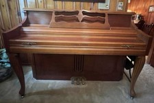 Beautiful young chang for sale  Washington