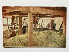 Hop picking kent for sale  WORKINGTON
