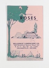 C.1959 potted roses for sale  Ann Arbor