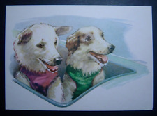 Foguete russo URSS soviético cachorro espacial Belka Strelka Cosmos por Aristov comprar usado  Enviando para Brazil