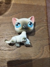 Petshop chat siamois d'occasion  Pacy-sur-Eure
