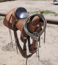 15.5 custom billy for sale  Scottsbluff