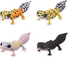 Creature encyclopedia repti d'occasion  Expédié en Belgium
