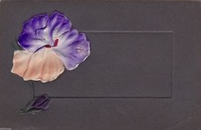 fiori viola usato fiori viola usato Roma