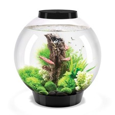Classic acrylic gallon for sale  Brentwood