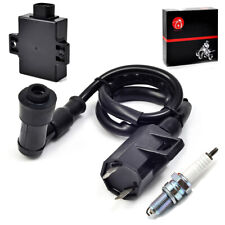 Ignition coil spark for sale  Florence