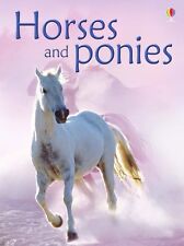 Horses ponies anna for sale  UK