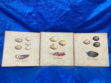 Rare vintage 6x6 for sale  Rootstown