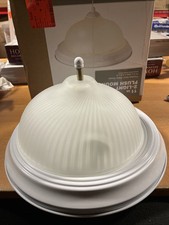 Light white flush for sale  Jersey City