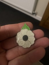White peace flower for sale  UTTOXETER