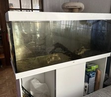 Aquarium 450 juwel gebraucht kaufen  Bad Saarow-Pieskow