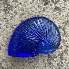 Blue spiral nautilus for sale  PETERBOROUGH