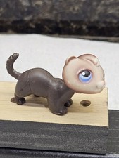 2004 ferret littlest for sale  Spring Branch
