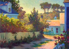 Provincetown alley roses for sale  Orlando
