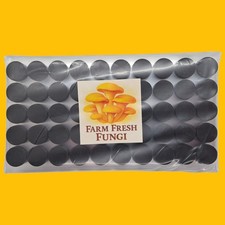 Self healing injection for sale Self healing injection for sale  DARLINGTON