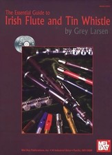Essential guide irish for sale  Shipping to United Kingdom