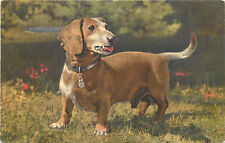 Vintage postcard basset for sale  Redding