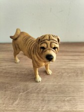 Shar pei dog for sale  SOUTHAMPTON