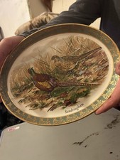 Large oval plate for sale  POOLE