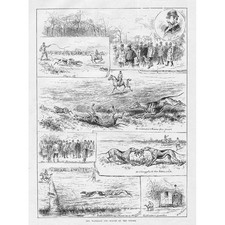 Waterloo cup scenes for sale  GLASGOW