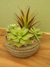 planter houseplants for sale planter houseplants for sale ALTON