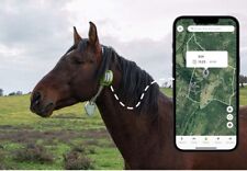 Collare gps per usato  Trebisacce