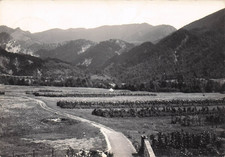 tramonti usato  Lugo