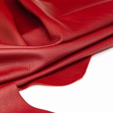 Dickleder rot feuerrot gebraucht kaufen  Hamburg