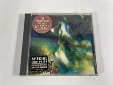 4 Non Blondes Spaceman promo cd Signed Auto 1992 Interscope Alt Rock Rare! comprar usado  Enviando para Brazil