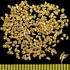Gramm gold nuggets gebraucht kaufen  Limburgerhof