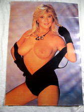 Samantha fox poster gebraucht kaufen  Hamburg
