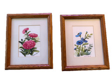 Set watercolor paintings for sale  Tempe